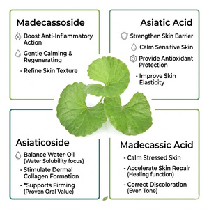Extrato de Centella Asiatica Grau Cosmético 90% Asiaticosídeo em Pó <span class=keywords><strong>Gotu</strong></span> <span class=keywords><strong>Kola</strong></span> CAS 16830-15-2 Fornecimento a Granel - Product Image 2