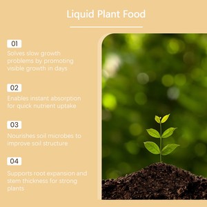 <span class=keywords><strong>Engrais</strong></span> Liquide pour Plantes d'<span class=keywords><strong>Intérieur</strong></span> Universel : Nutrition Quotidienne Équilibrée Favorisant l'Absorption - Product Image 2