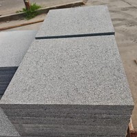 Dalles de granit noir sésame G654, imperméables, résistantes aux intempéries, modernes, durables, écologiques, épaisseur 30 mm, pour murs et sols.