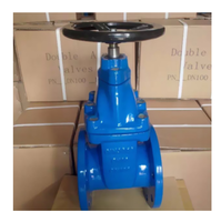 Vanne à opercule en fonte nodulaire DN50-DN2000mm manuelle pour eau à température normale