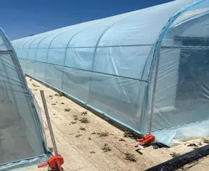 Material de enquadramento do túnel do arco do único-span galvanizado com filme