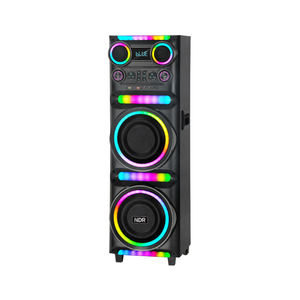 NDR-M1104 Enceinte de fête professionnelle en bois double 10 pouces pour DJ extérieur, karaoké, subwoofer à basses profondes avec micro sans fil - Product Image 2