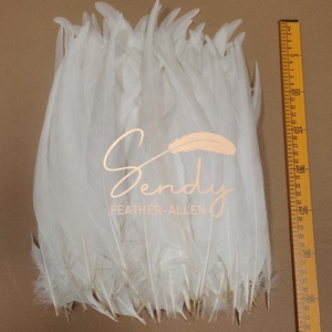 Plumas de gallo súper blancas al por mayor de 12-14 pulgadas para atado de moscas, tocados, carnaval, mochilas y decoraciones - Product Image 5