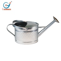 Arrosoir ovale en métal galvanisé de 1,5 gallon avec bec verseur amovible et poignée mobile