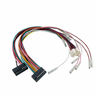 Arnés de cables personalizado de fábrica 2x10 2x6 Pin 2,54mm Conector de paso Puente de altavoz de coche Cable de montaje de arnés de cableado