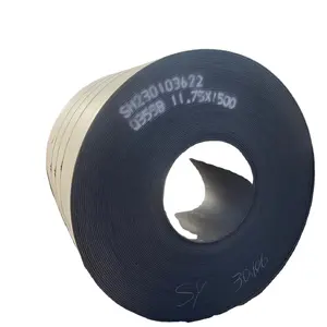 Hot Rolled Alloy Carbon Steel Coil Roll Material Galvanized Strip Steel Thin Steel Plate