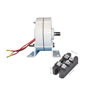 Générateur à aimants permanents alternatif 400W 12V 24V 48V, <span class=keywords><strong>alternateur</strong></span> à faible couple pour usage domestique, éolienne <span class=keywords><strong>DIY</strong></span> 100W 200W 500W - Product Image 4