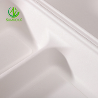 Boîtes à lunch jetables en fibre de bagasse de canne à sucre 100 % biodégradables avec couvercles pour vente en gros