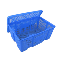 Vente chaude, caisse en plastique empilable, résistante, en maille, pour la logistique, le stockage, l'agriculture, réutilisable, de qualité alimentaire, étanche, pour les fruits