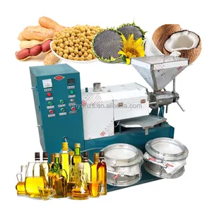 Extractor de aceite de girasol, máquina de prensado en frío para pequeños negocios, cacahuetes, aceite de oliva