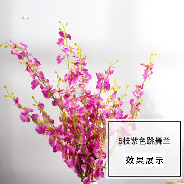 Orquídea Danzante Púrpura Larga