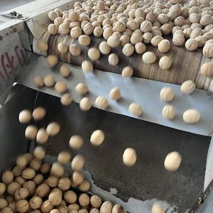 วอลนัทพรีเมียมแบบมีเปลือก คุณภาพสูง ความสะอาดดี เหมาะสำหรับซูเปอร์มาร์เก็ต ค้าปลีก และจำหน่ายต่อ - Product Image 4