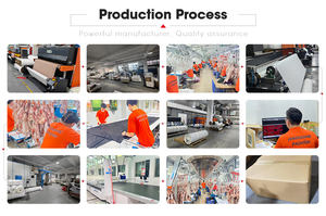 2025 estilo deportivo ecológico pantalones cortos de Bikini para mujer conjunto de 3 piezas logotipo personalizado traje de baño impreso lavado del fabricante - Product Image 5