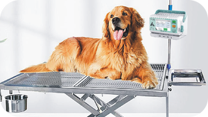 เครื่องปั๊มฉีดยาทางหลอดเลือดสำหรับสัตว์ ราคาประหยัด อุปกรณ์สัตวแพทย์ เครื่องปั๊มฉีดยาสำหรับโรงพยาบาลสัตว์ เครื่องปั๊มฉีดยาสำหรับโรงพยาบาล - Product Image 4