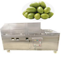 Olijvenontpitter CE-gecertificeerd 2,2 kW motor multifunctionele kersenontpitter fruitextractie werkplaatsmachine
