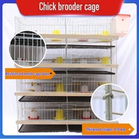 Cage d'élevage de poussins de type H, gain de place, entièrement automatique, galvanisée à chaud, 3/4 niveaux, pour élevage avicole