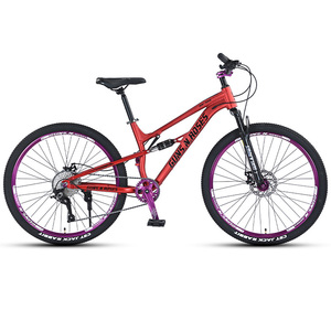 Vélo <span class=keywords><strong>de</strong></span> montagne <span class=keywords><strong>VTT</strong></span> 10 vitesses en aluminium 26 pouces avec double suspension et freins à disque hydrauliques, amortisseur double épaule pour descente - Product Image 2