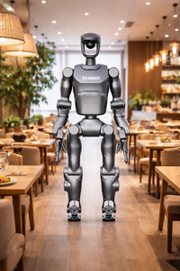 Robot humanoïde compact en métal Ti5 en promotion, plateforme bipède IA 42 DOF pour l'éducation, la recherche et l'exposition - Product Image 2