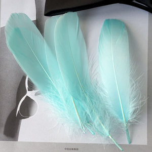 10-18Cm Nhuộm Lông Ngỗng Tự Làm Dreamcatcher Tự Nhiên Chất Lượng Cao Lông Phụ Kiện Lễ Hội Lông Cho Hàng Thủ Công - Product Image 2