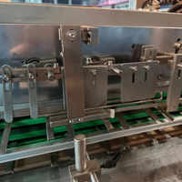 Ligne de production automatique de tubes souples LWT, équipement en acier inoxydable, machine de conditionnement en cartons pour les produits alimentaires et les boissons
