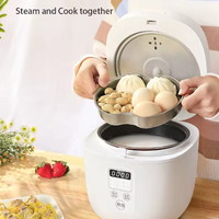 2025 OEM Vente Chaude Cuiseur À Riz Automatiquement Santé Cuiseurs À Riz Appareils Ménagers Mini Cuiseur À Riz.