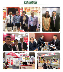 Châtaignes pelées en vrac, prix des châtaignes congelées, châtaignes chinoises congelées, vente chaude - Product Image 5