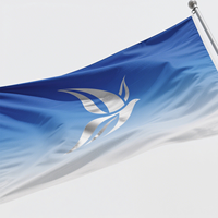 Drapeau personnalisé 4x6 pieds en tissu polyester Oxford 150D, étoiles brodées, robuste, imperméable, écologique, bannière portable pour les défilés