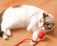 2025 Offre Spéciale Smart Cat Balls Queue Chat Jouets Mouvement Jouet Interactif Avec Fonction De Réveil
