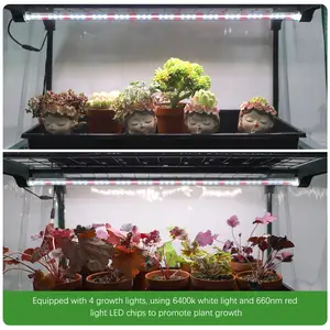 屋内/屋外野菜栽培用のロールアップドアポータブルミニ温室キット