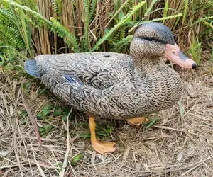 Outdoors Standard Hunting Suppliers Multiple Style Duck Decoys For Hunting Female Hunting Decoy Duck