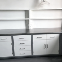 Muebles de Laboratorio, Gabinetes de Laboratorio Personalizados con Encimeras de Resina Epoxi