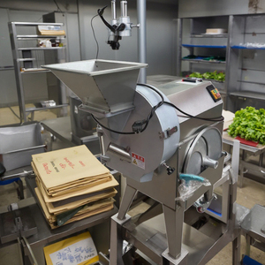 多功能立方体切割机食品加工机蔬菜切菜机水果和蔬菜切丝机 - Product Image 4