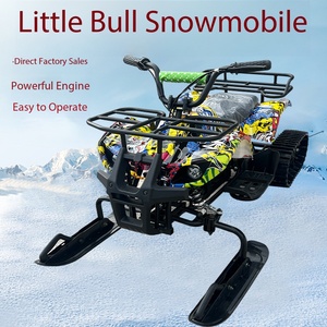 <span class=keywords><strong>Mini</strong></span> motoneige électrique 800W tout-terrain, buggy de plage tout-terrain, scooter de neige amortissant, 36V - Product Image 5