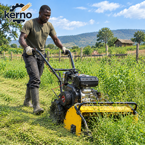 Cultivador diésel de 9HP para granja, de 100 kg, autopropulsado, para la preparación del suelo agrícola. - Product Image 1