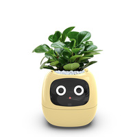Pot de fleur intelligent Ai capteur d'arrosage automatique équipé contrôlé par application numérique animal de compagnie intérieur bureau bureau salon plastique Abs Pp