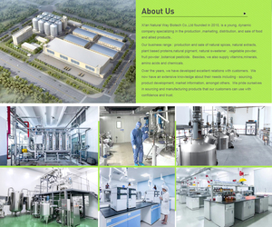 ผง<span class=keywords><strong>ยีสต์</strong></span>ผง<span class=keywords><strong>ยีสต์</strong></span>สำหรับอบแห้ง - Product Image 6