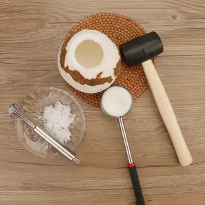 Kitchen Fruit Coconut Tool Stainless Steel Coconut Opener Hammer And Scraper Coconut Opener Tool Set