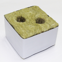 Cubes de culture GN Hydroponics Laine de roche Petit 25*25*40mm pour la croissance des semis et des légumes