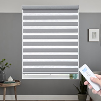 Proveedor de fábrica Smart Motorized Window Shade Google WiFi y Alexa Control remoto Electric Zebra Blinds para Windows