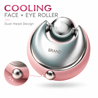 Masseur facial en acier inoxydable en forme de globe de glace, outil de refroidissement à double rouleau pour le soin des yeux et des poches sous les yeux, logo personnalisé
