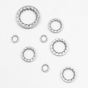 Lot de 10 rondelles de blocage à dents intérieures plates en acier inoxydable 304/acier au carbone zingué, norme DIN, M3-M5-M8-M16-M30 - Product Image 4