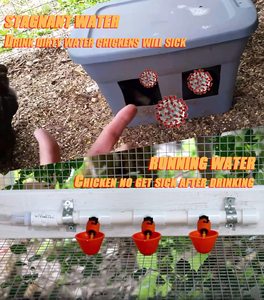 Comedero de pollos de PVC T con taza de goteo Bebedero de pezón <span class=keywords><strong>común</strong></span> para aves de corral - Product Image 2