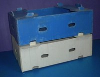 Neue 2023 Beste Qualität PP-Hohlkammerplattenbox für Lagerung, Verpackung und Handling – Kunststoff-Verkaufsverpackungsboxen