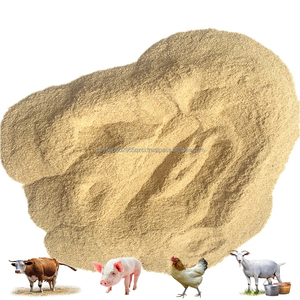 Comida de soja, precio asequible - Product Image 2
