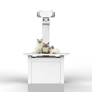 Facile da trasportare sensore per animali domestici veterinario digitale Mobile macchina a raggi X prezzo puro S01 DR visualizzatore di pellicole Foinoe