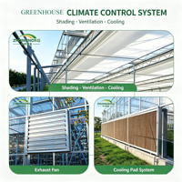 Serres Agricoles Professionnelles et Serres Commerciales Intelligentes pour Fermes, Serres de Pépinière, Usine Chinoise Exportatrice de Tunnels Polytunnel