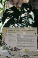 Kit de Iniciación a las Hierbas con 24 Recetas y 14 Monografías de Plantas para Estudiantes