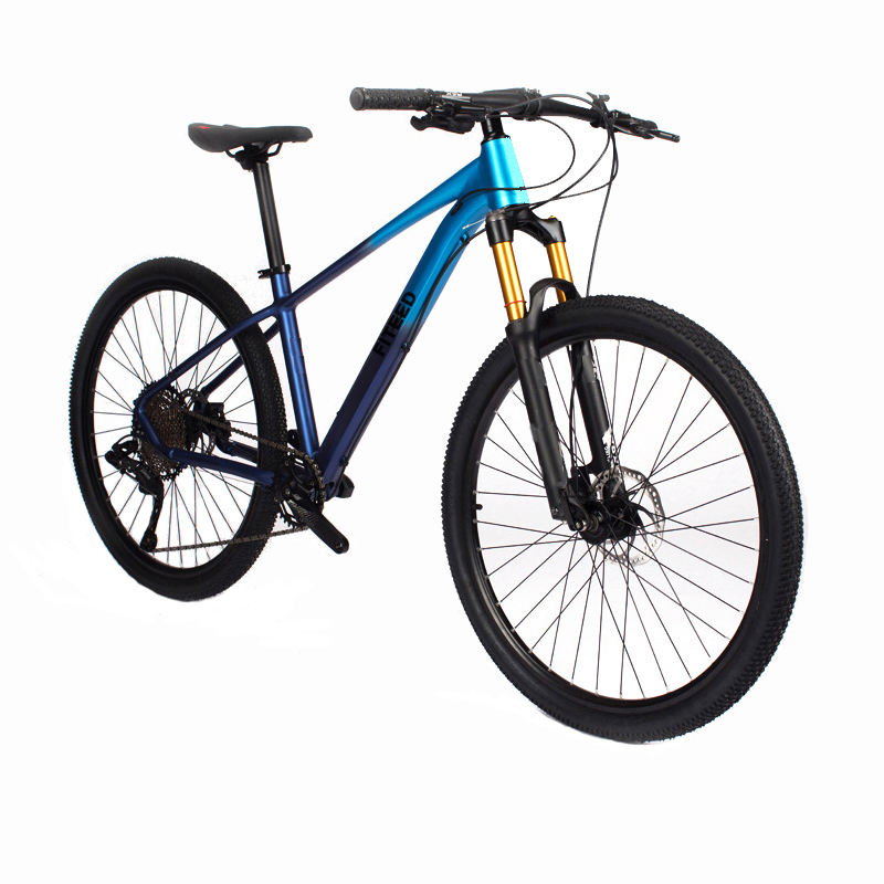 Sepeda Promo Mtb 29 Discount Bikes Quality And Price For Every Rider