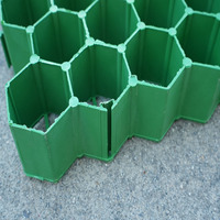 Grille alvéolée moderne en HDPE/PP avec garantie de 5 ans pour les parkings, l'accès des véhicules de pompiers et l'utilisation extérieure
