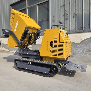 Mini-chargeur sur chenilles avec benne basculante, pompe hydraulique, moteur diesel Briggs & Stratton, capacité 880 kg, benne 450 kg, Chine - Product Image 3